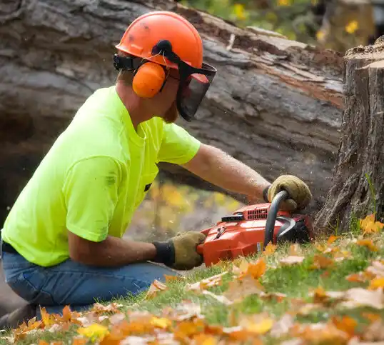 tree services Auburn Hills